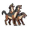 Wild Dog Pack